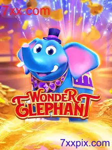 WonderElephant